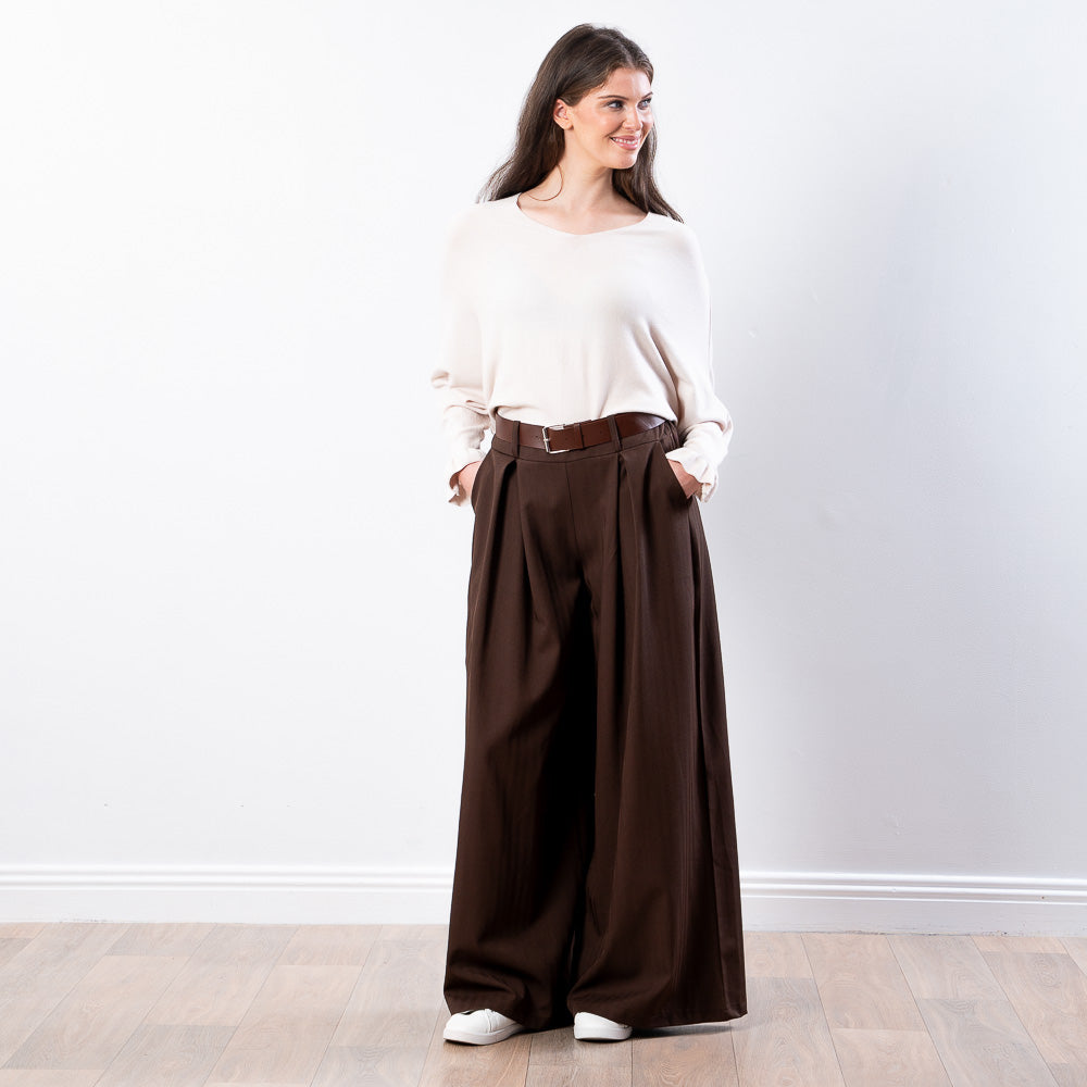 Lexie Batwing V-Neck Top (Beige)